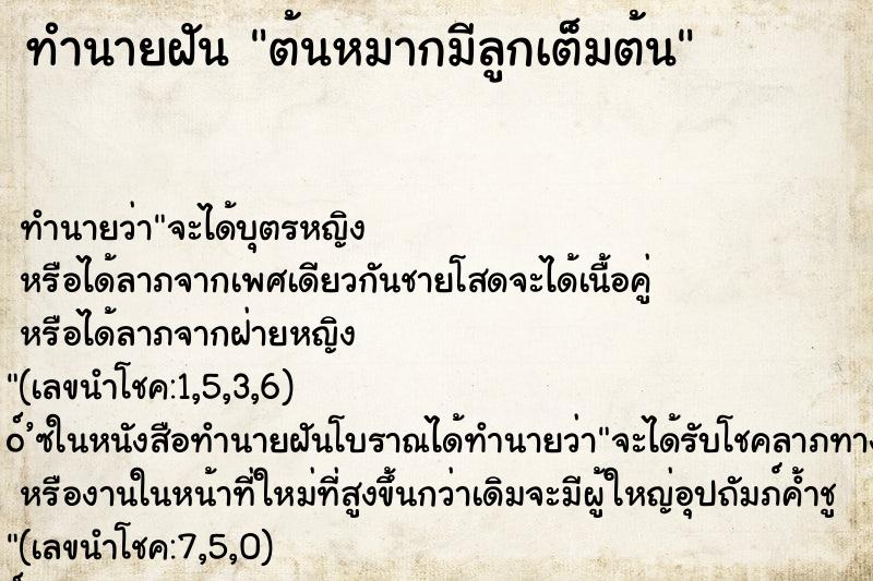 ทำนายฝันต้นหมากมีลูกเต็มต้น ทำนายฝันทำนายฝันต้นหมากมีลูกเต็มต้น