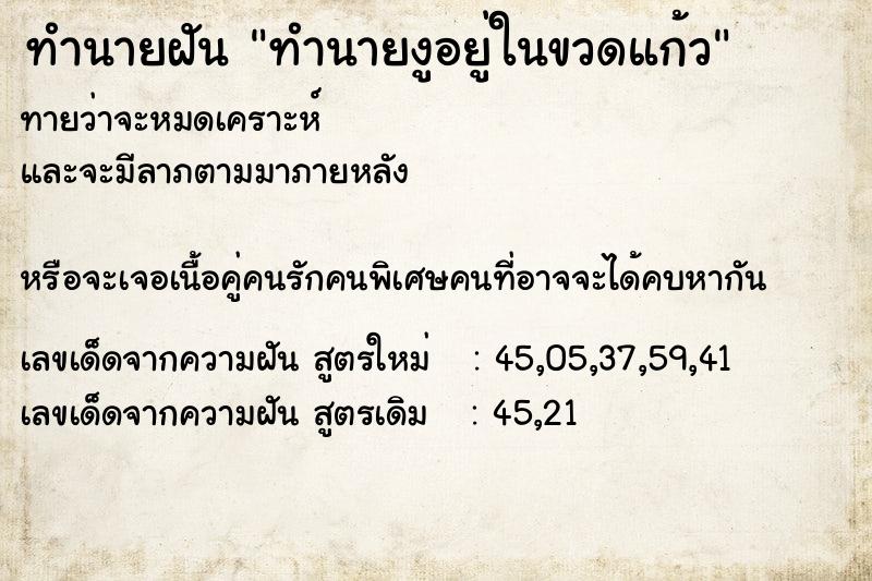 ทำนายฝัน ทำนายงูอยู่ในขวดแก้ว ทำนายฝัน ทำนายงูอยู่ในขวดแก้ว