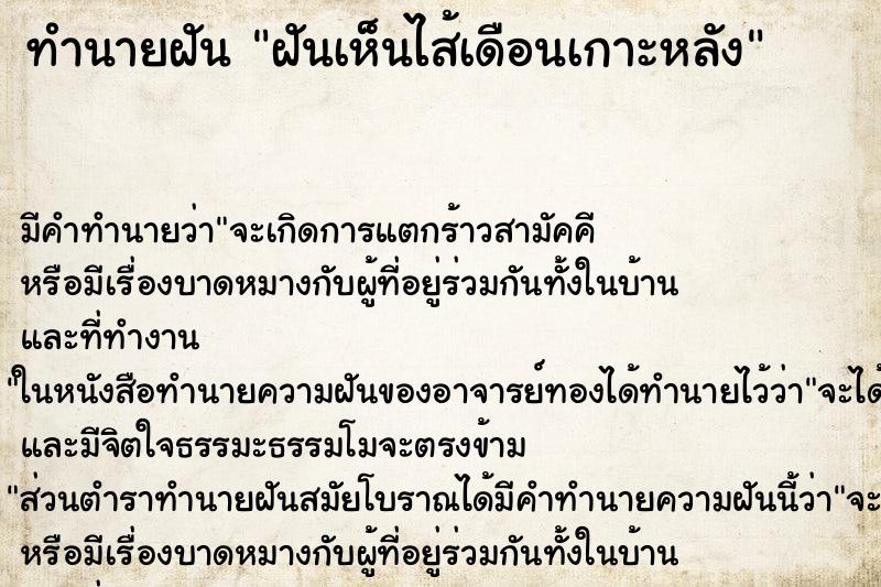 ทำนายฝันฝันเห็นไส้เดือนเกาะหลัง ทำนายฝันทำนายฝันฝันเห็นไส้เดือนเกาะหลัง
