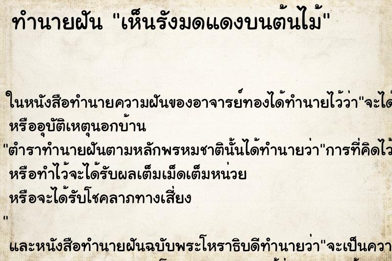 ทำนายฝันเห็นรังมดแดงบนต้นไม้ ทำนายฝันทำนายฝันเห็นรังมดแดงบนต้นไม้