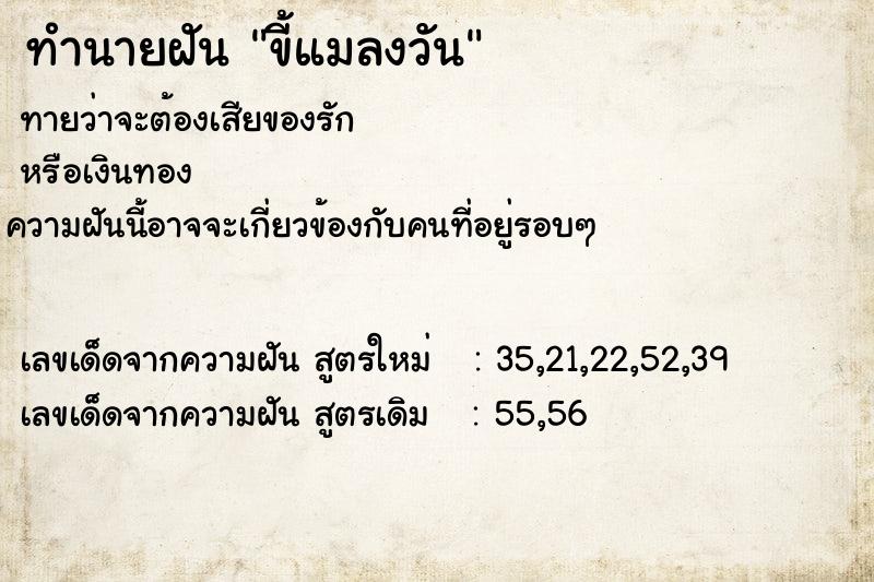 ทำนายฝันขี้แมลงวัน ทำนายฝันทำนายฝันขี้แมลงวัน