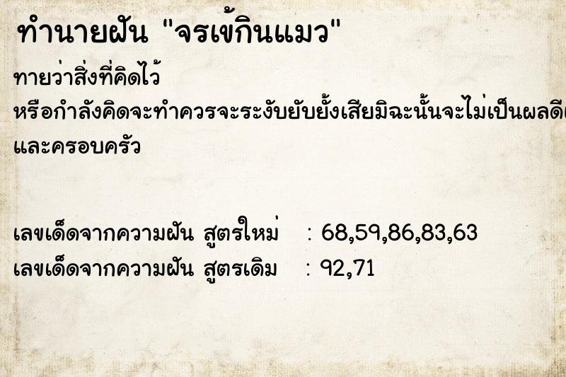 ทำนายฝัน จรเข้กินแมว ทำนายฝัน จรเข้กินแมว