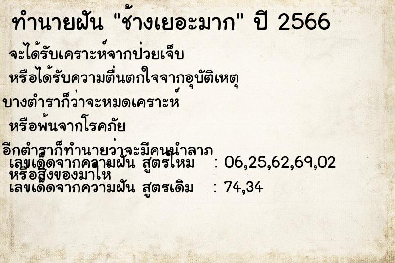 ทำนายฝัน ช้างเยอะมาก ทำนายฝัน ช้างเยอะมาก