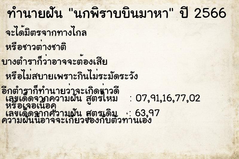 ทำนายฝัน นกพิราบบินมาหา
