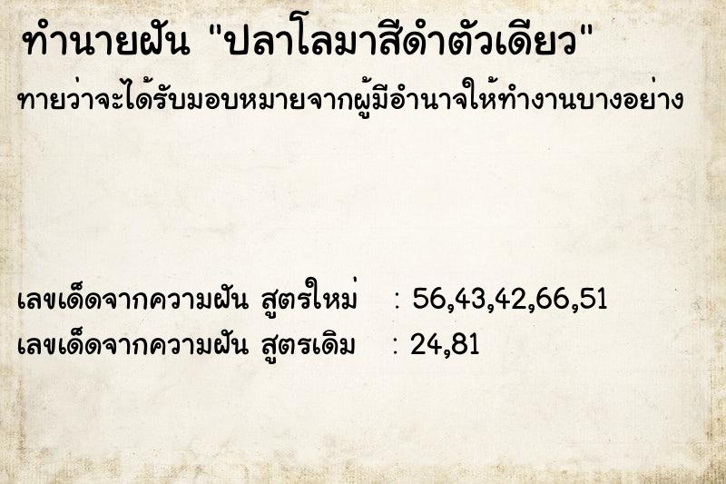 ทำนายฝันทำนายฝันปลาโลมาสีดำตัวเดียว