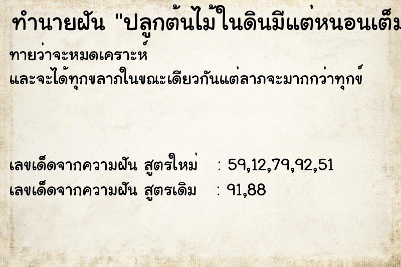 ทำนายฝันทำนายฝันปลูกต้นไม้ในดินมีแต่หนอนเต็มไปหมด