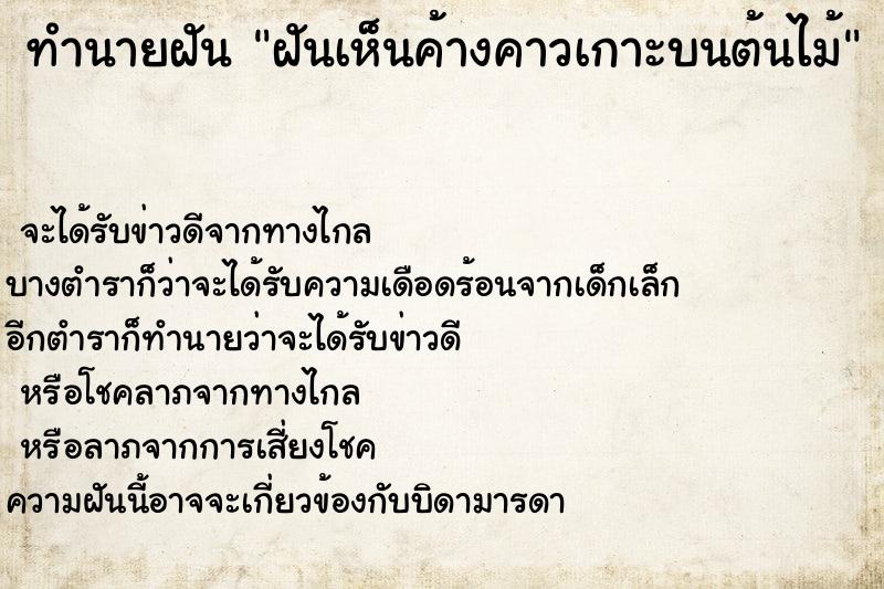 ทำนายฝันทำนายฝันฝันเห็นค้างคาวเกาะบนต้นไม้