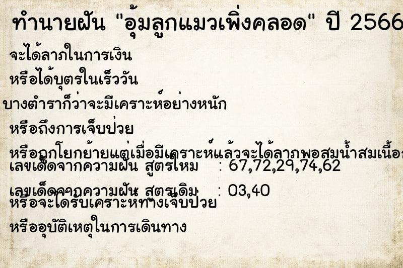 ทำนายฝัน อุ้มลูกแมวเพิ่งคลอด ทำนายฝัน อุ้มลูกแมวเพิ่งคลอด
