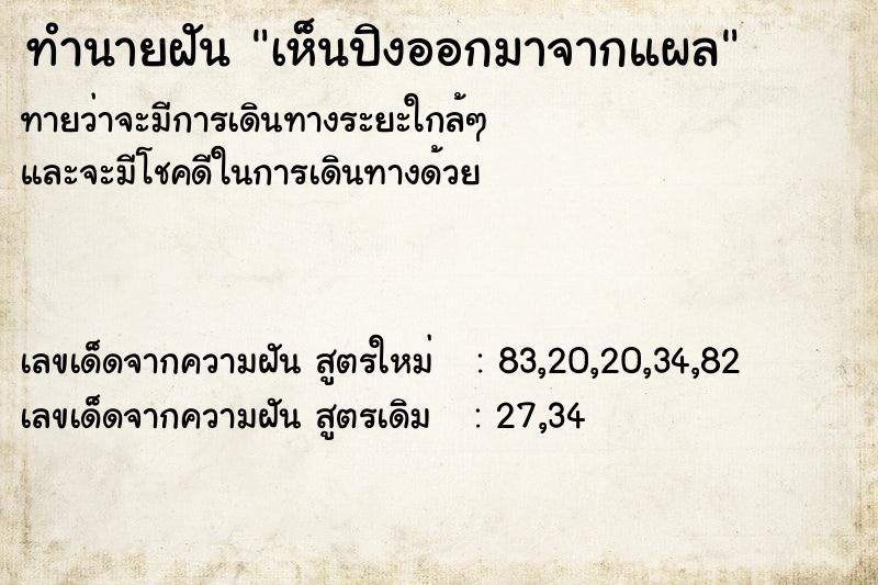 ทำนายฝันเห็นปิงออกมาจากแผล ทำนายฝันทำนายฝันเห็นปิงออกมาจากแผล