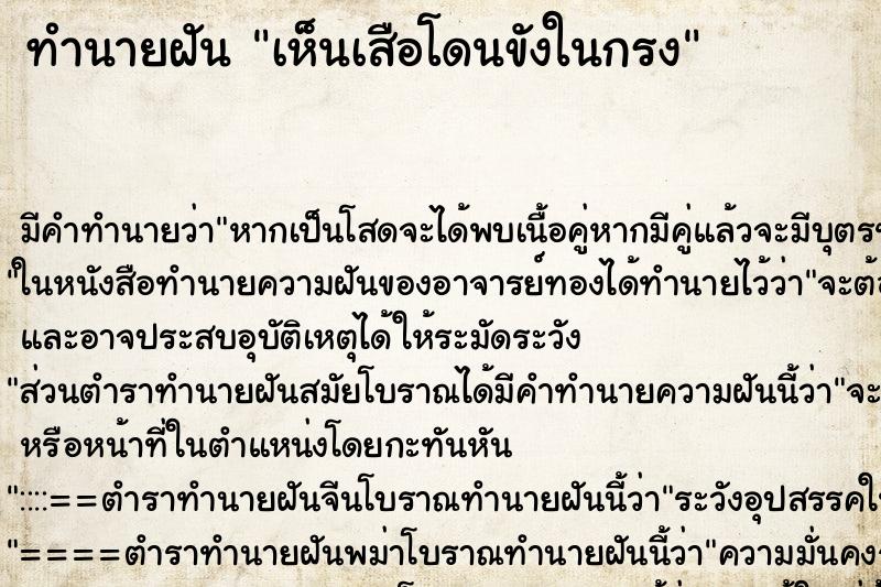 ทำนายฝัน เห็นเสือโดนขังในกรง ทำนายฝัน เห็นเสือโดนขังในกรง