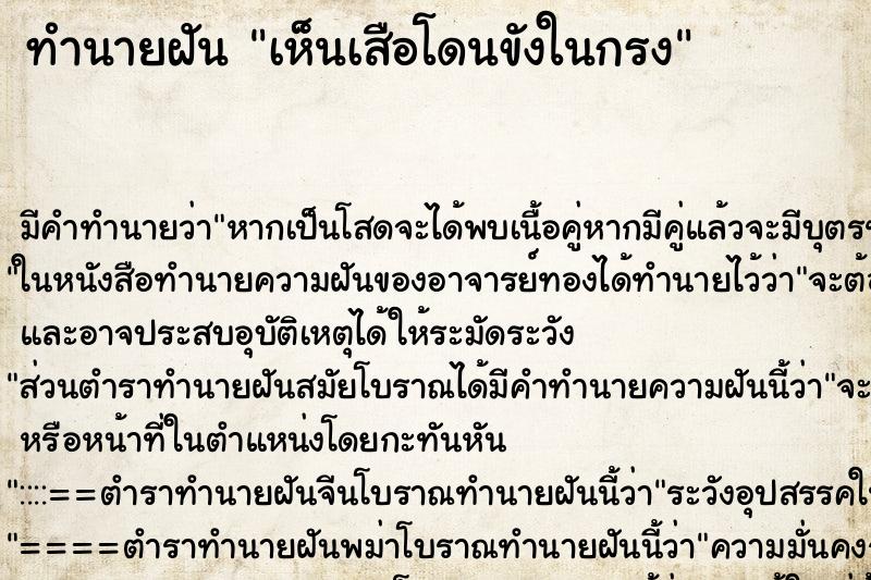 ทำนายฝัน เห็นเสือโดนขังในกรง ตำราโบราณ แม่นที่สุดในโลก