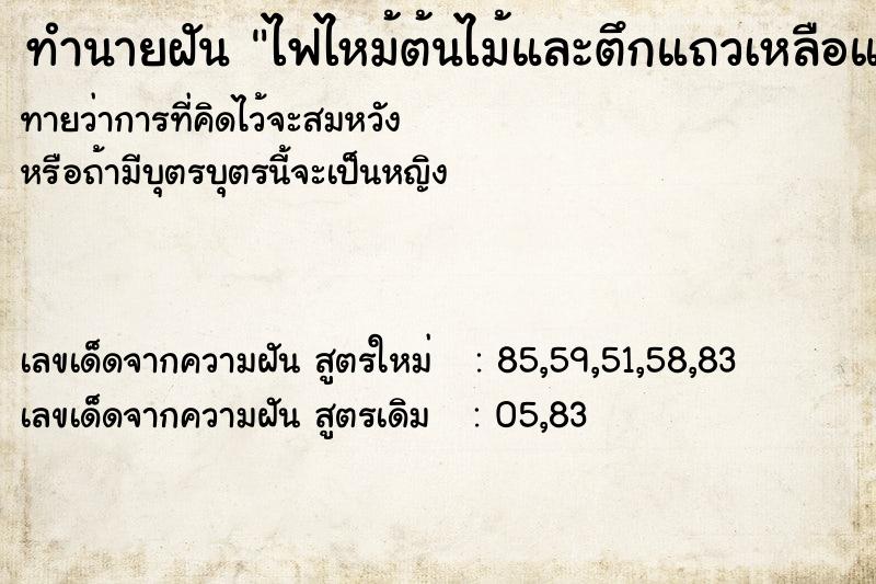 ทำนายฝันทำนายฝันไฟไหม้ต้นไม้และตึกแถวเหลือแต่เก้าอี้
