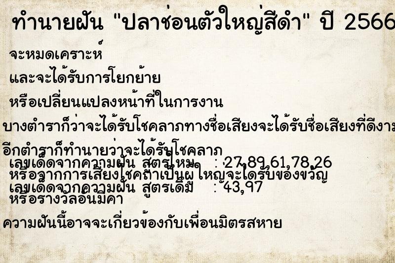 ทำนายฝัน ปลาช่อนตัวใหญ่สีดำ ทำนายฝัน ปลาช่อนตัวใหญ่สีดำ