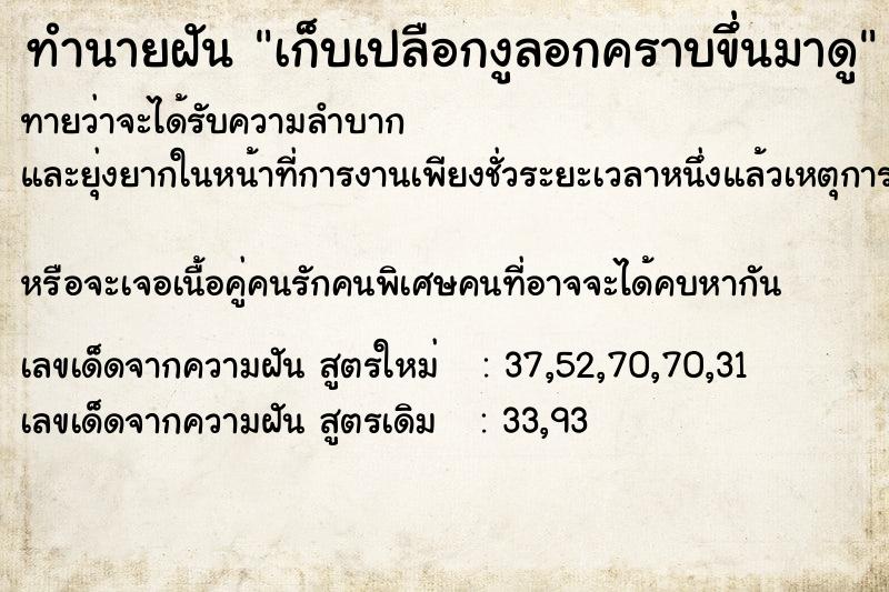 ทำนายฝัน เก็บเปลือกงูลอกคราบขึ่นมาดู ทำนายฝัน เก็บเปลือกงูลอกคราบขึ่นมาดู