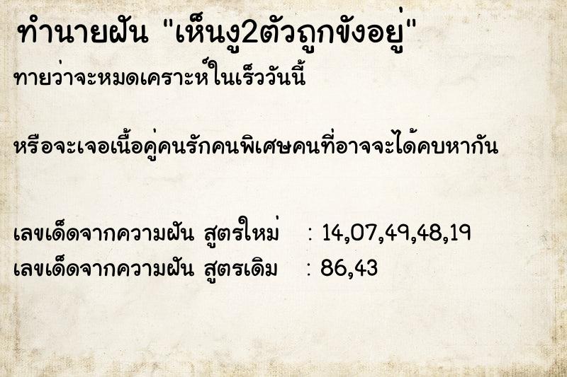 ทำนายฝันเห็นงู2ตัวถูกขังอยู่ ทำนายฝันทำนายฝันเห็นงู2ตัวถูกขังอยู่