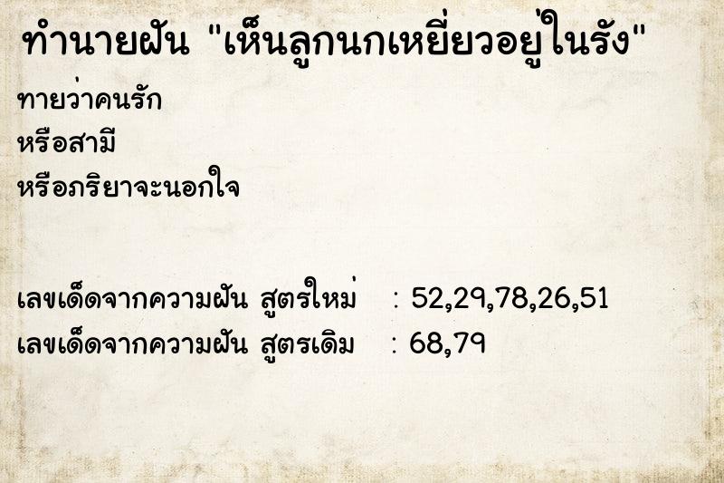 ทำนายฝัน เห็นลูกนกเหยี่ยวอยู่ในรัง ตำราโบราณ แม่นที่สุดในโลก