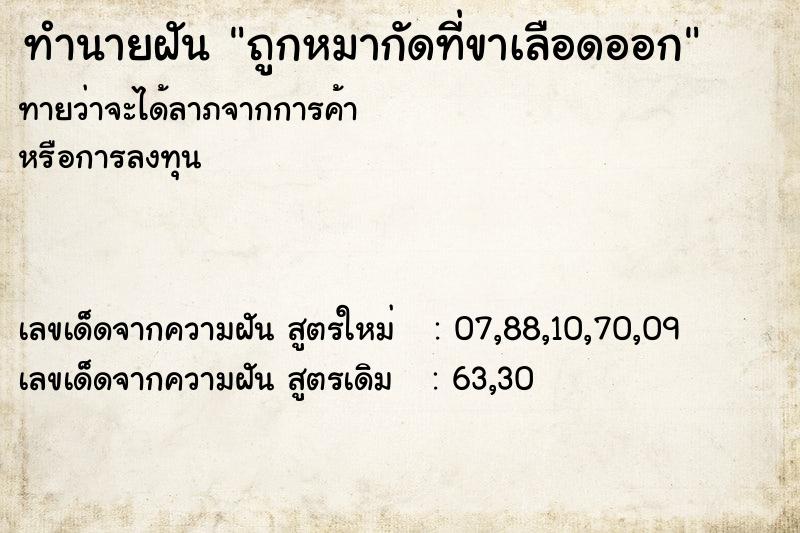 ทำนายฝันถูกหมากัดที่ขาเลือดออก ทำนายฝันทำนายฝันถูกหมากัดที่ขาเลือดออก