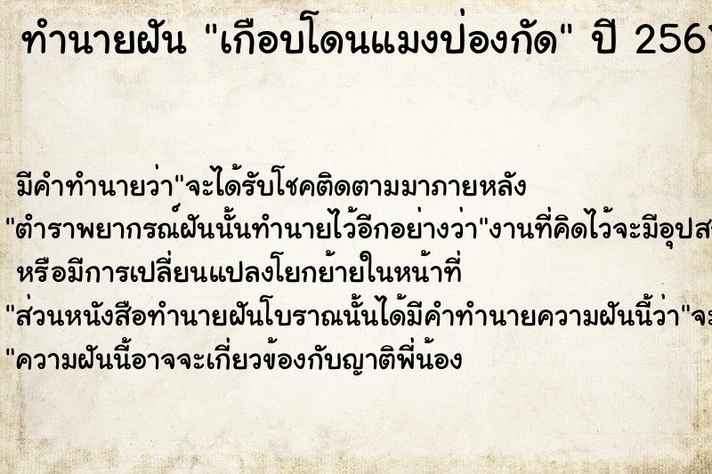 ทำนายฝันทำนายฝันเกือบโดนแมงป่องกัด