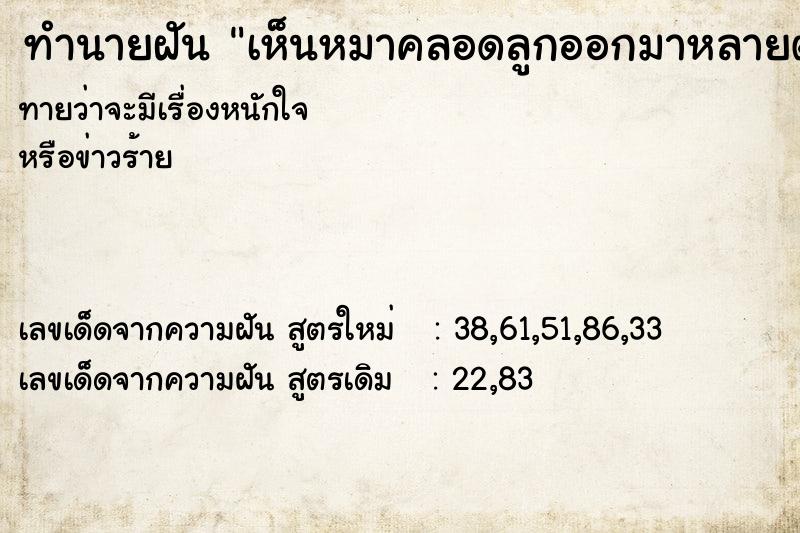 ทำนายฝันทำนายฝันเห็นหมาคลอดลูกออกมาหลายตัว
