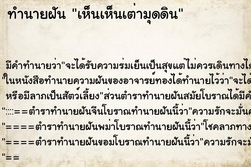 ทำนายฝัน เห็นเห็นเต่ามุดดิน ทำนายฝัน เห็นเห็นเต่ามุดดิน