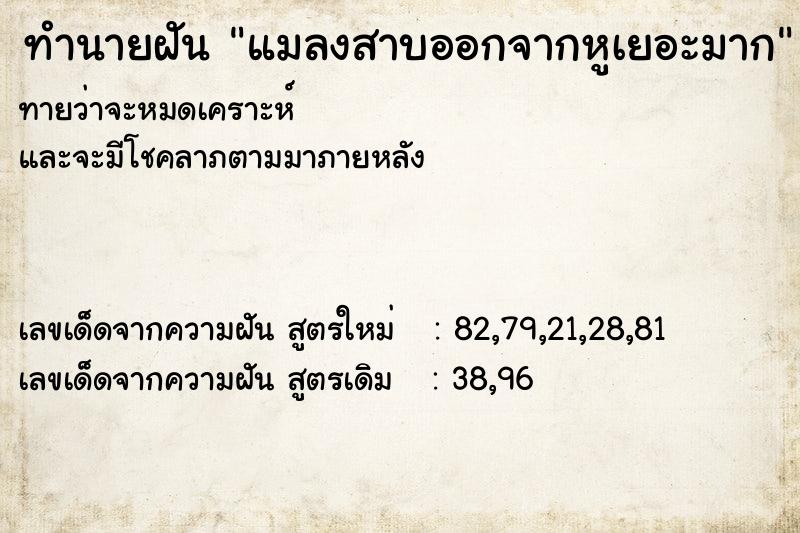 ทำนายฝันแมลงสาบออกจากหูเยอะมาก ทำนายฝันทำนายฝันแมลงสาบออกจากหูเยอะมาก