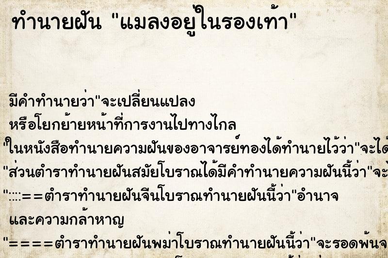 ทำนายฝัน แมลงอยู่ในรองเท้า ทำนายฝัน แมลงอยู่ในรองเท้า