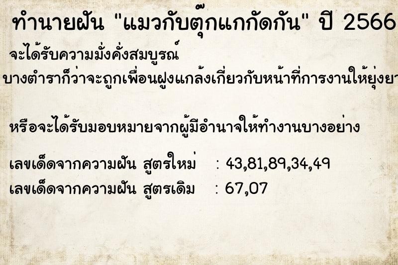 ทำนายฝัน แมวกับตุ๊กแกกัดกัน ทำนายฝัน แมวกับตุ๊กแกกัดกัน