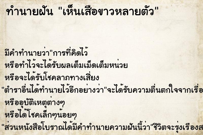 ทำนายฝัน เห็นเสือขาวหลายตัว ตำราโบราณ แม่นที่สุดในโลก