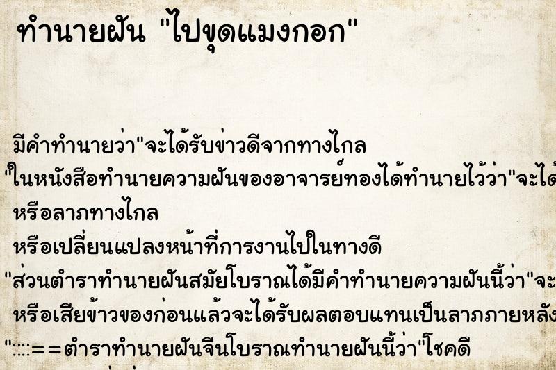 ทำนายฝัน ไปขุดแมงกอก ทำนายฝัน ไปขุดแมงกอก