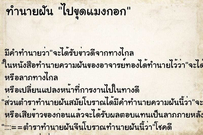 ทำนายฝัน ไปขุดแมงกอก ตำราโบราณ แม่นที่สุดในโลก