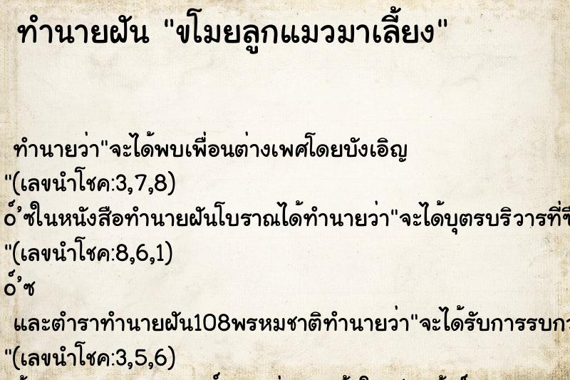 ทำนายฝันขโมยลูกแมวมาเลี้ยง ทำนายฝันทำนายฝันขโมยลูกแมวมาเลี้ยง