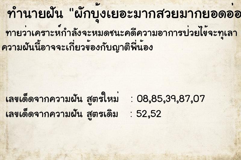 ทำนายฝัน ผักบุ้งเยอะมากสวยมากยอดอ่อนเต็มไปหมด ทำนายฝัน ผักบุ้งเยอะมากสวยมากยอดอ่อนเต็มไปหมด