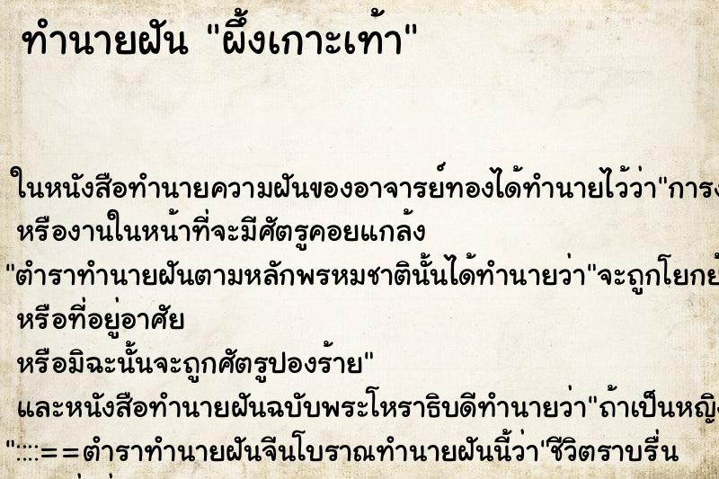 ทำนายฝันทำนายฝันผึ้งเกาะเท้า