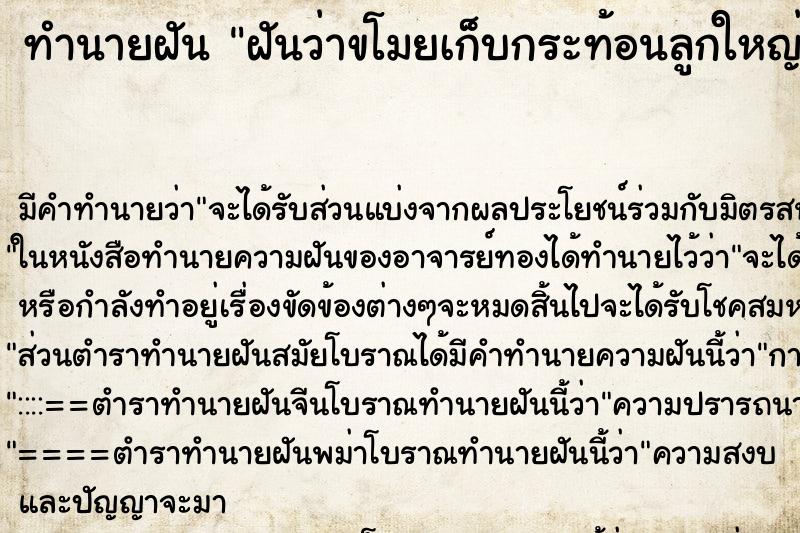 ทำนายฝัน ฝันว่าขโมยเก็บกระท้อนลูกใหญ่มาหลายลูก ทำนายฝัน ฝันว่าขโมยเก็บกระท้อนลูกใหญ่มาหลายลูก