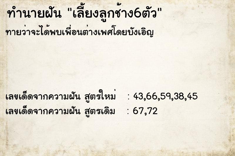 ทำนายฝันทำนายฝันเลี้ยงลูกช้าง6ตัว