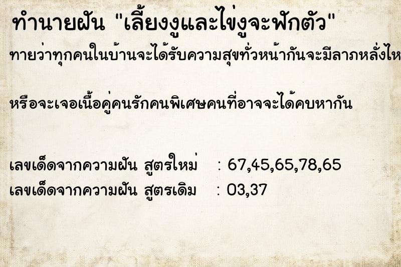 ทำนายฝันทำนายฝันเลี้ยงงูและไข่งูจะฟักตัว