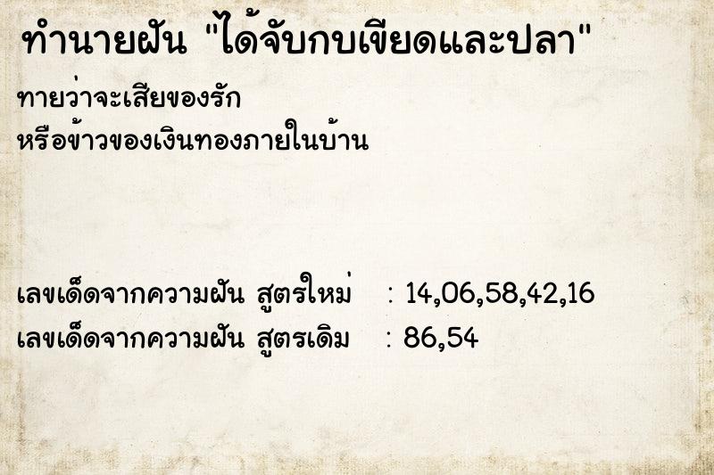 ทำนายฝันได้จับกบเขียดและปลา ทำนายฝันทำนายฝันได้จับกบเขียดและปลา