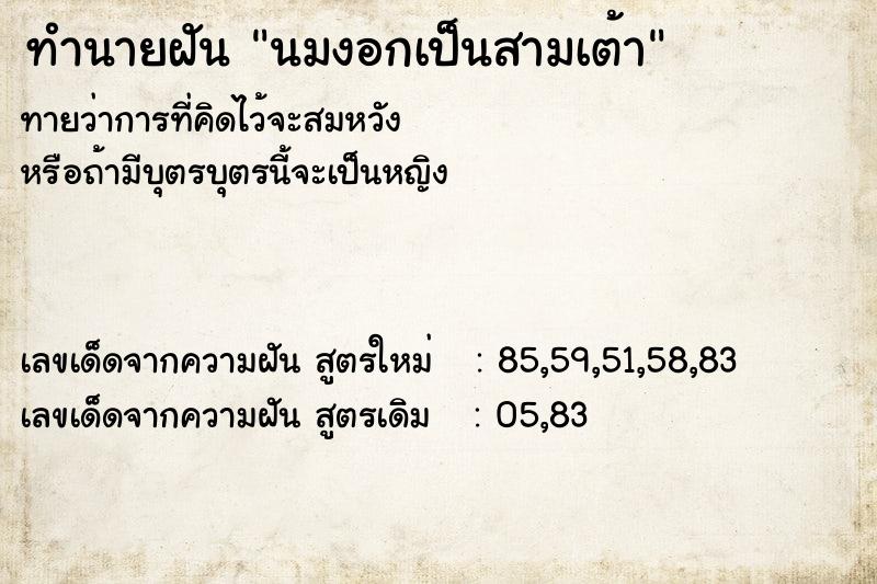 ทำนายฝันทำนายฝันนมงอกเป็นสามเต้า