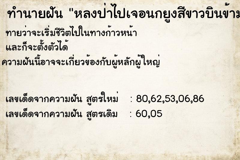 ทำนายฝันทำนายฝันหลงป่าไปเจอนกยูงสีขาวบินข้ามหัว