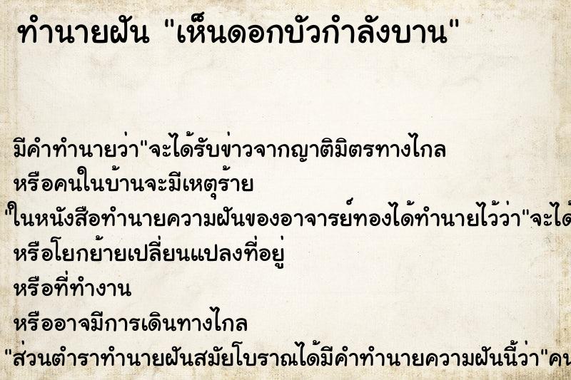 ทำนายฝัน เห็นดอกบัวกำลังบาน ทำนายฝัน เห็นดอกบัวกำลังบาน
