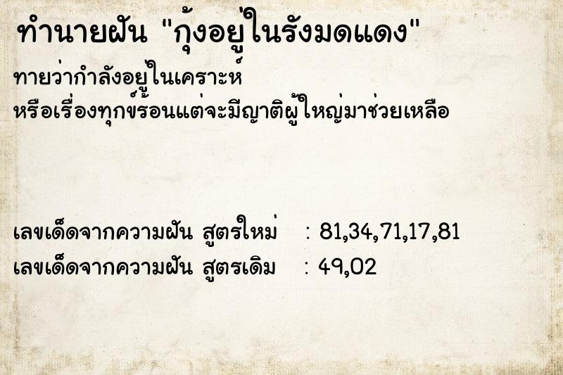 ทำนายฝันกุ้งอยู่ในรังมดแดง ทำนายฝันทำนายฝันกุ้งอยู่ในรังมดแดง