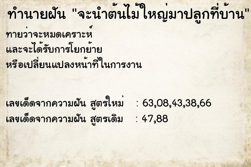 ทำนายฝันทำนายฝันจะนำต้นไม้ใหญ่มาปลูกที่บ้าน