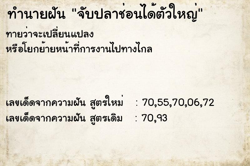 ทำนายฝันทำนายฝันจับปลาช่อนได้ตัวใหญ่