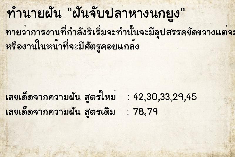 ทำนายฝันฝันจับปลาหางนกยูง ทำนายฝันทำนายฝันฝันจับปลาหางนกยูง