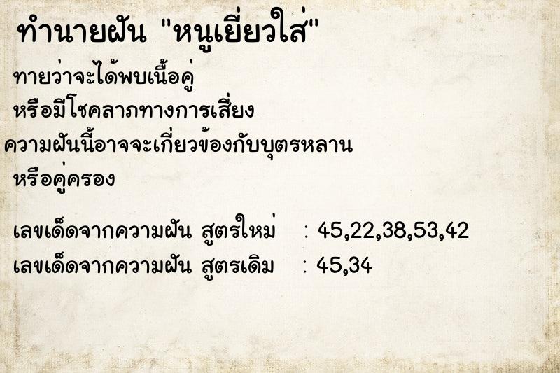 ทำนายฝันหนูเยี่ยวใส่ ทำนายฝันทำนายฝันหนูเยี่ยวใส่