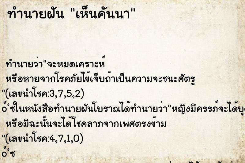 ทำนายฝันทำนายฝันเห็นคันนา