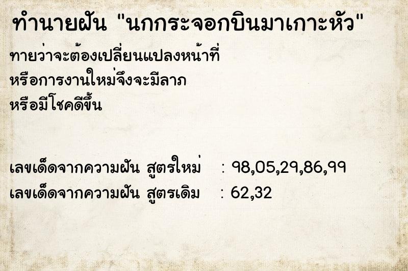 ทำนายฝัน นกกระจอกบินมาเกาะหัว ทำนายฝัน นกกระจอกบินมาเกาะหัว