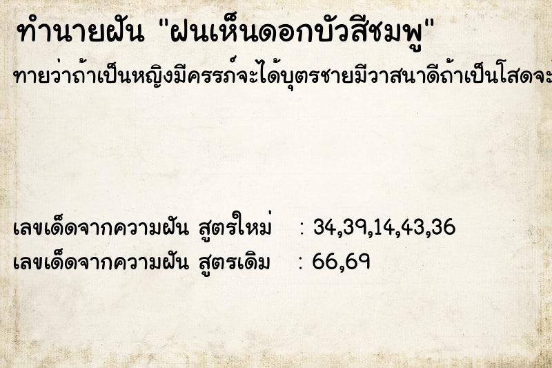 ทำนายฝันฝนเห็นดอกบัวสีชมพู ทำนายฝันทำนายฝันฝนเห็นดอกบัวสีชมพู
