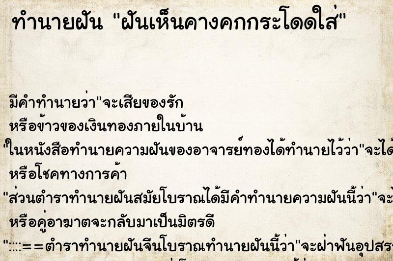 ทำนายฝัน ฝันเห็นคางคกกระโดดใส่ ทำนายฝัน ฝันเห็นคางคกกระโดดใส่