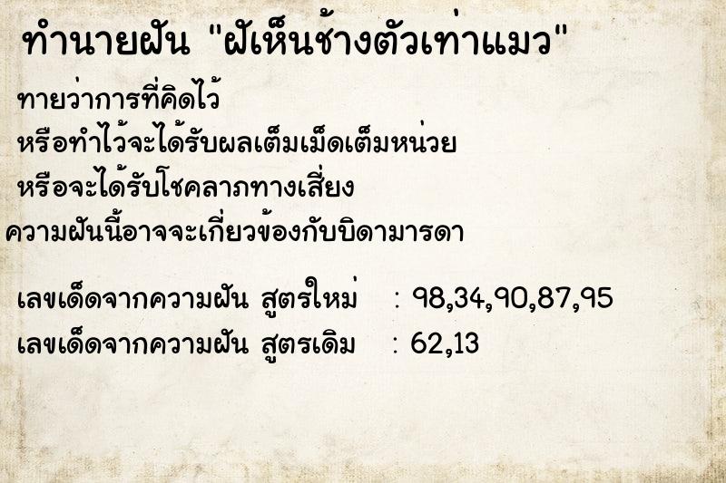 ทำนายฝันฝัเห็นช้างตัวเท่าแมว ทำนายฝันทำนายฝันฝัเห็นช้างตัวเท่าแมว